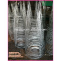 spiral tomato cage / heavy gauge plant cage / grow plant cage